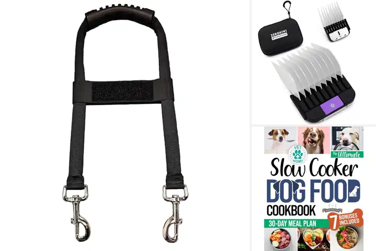 Detailed view of Best Size Guide For Dogs: Perfect Fit, Happy Pup