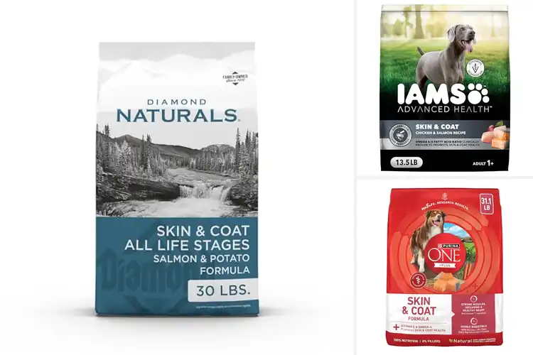 Detailed view of Best Skin And Coat Dry Dog Foods