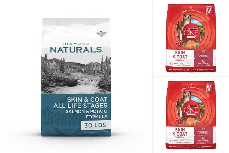 Detailed view of Best Skin Coat Dog Foods for a Healthy, Shiny Pup
