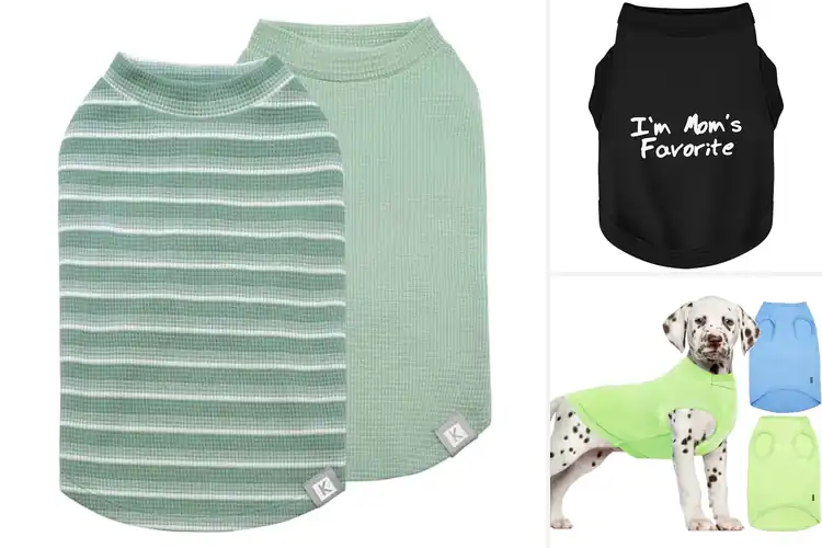 Detailed view of Best Sleeveless Dog Shirts