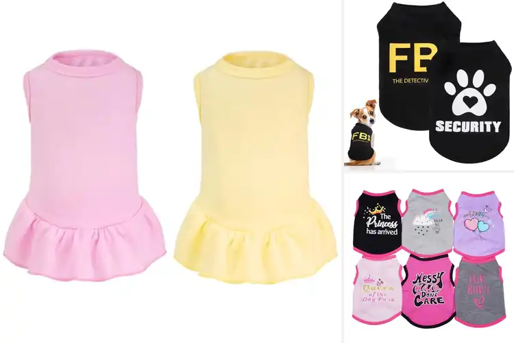 Detailed view of Best Sleeveless Puppy Outfits