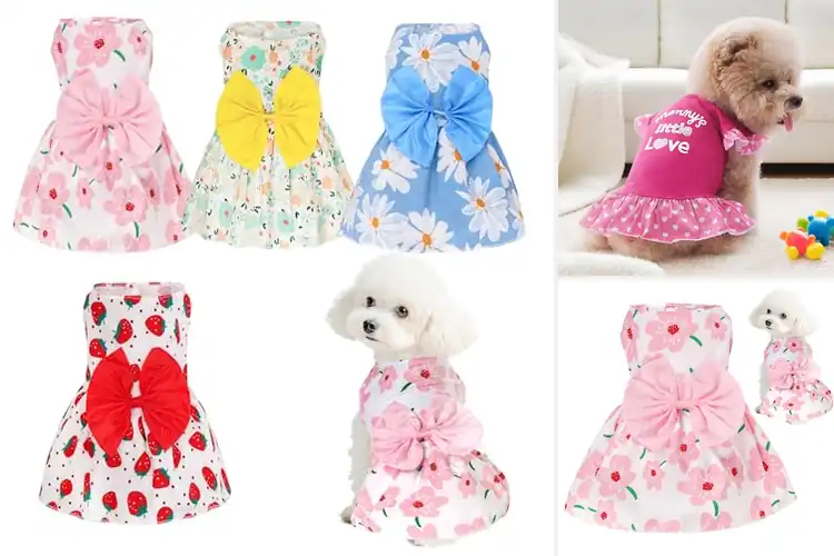 Detailed view of Best Small Dog Dresses