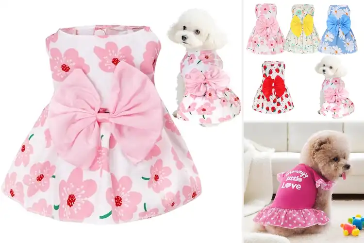 Detailed view of Best Small Dogs Dresses: Stylish & Comfy Summer Collection