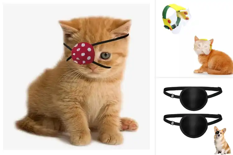 Detailed view of Best Soft Cat Eye Protectors For Healing
