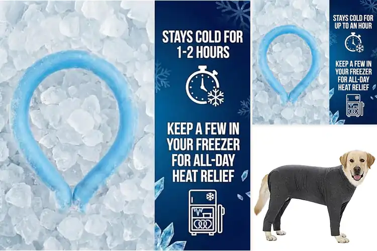 Detailed view of Best Temperature Regulation Wear