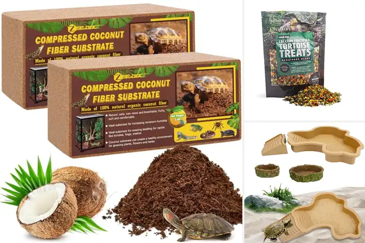 Detailed view of Best Tortoise Habitat Accessories