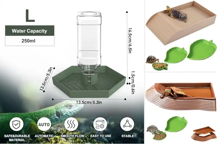 Detailed view of Best Tortoise Water Bowls: Keep Your Pet Hydrated & Happy