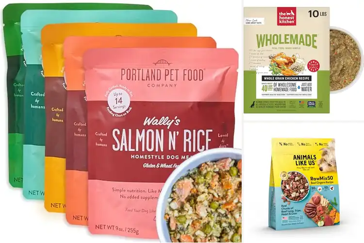 Detailed view of Best US Made Dog Foods: 10 Healthy Picks Your Dog Will Love