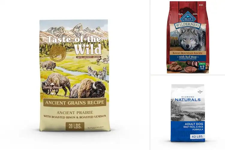 Detailed view of Best USA Made Dog Foods: 10 Top Picks for a Healthy Pup
