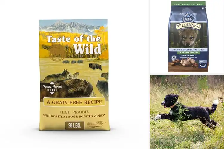 Detailed view of Best USA Made Grain Free Dog Food